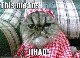 jihad cat